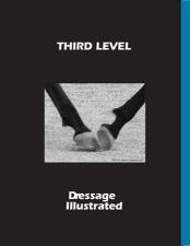DI Third-Level-L_large